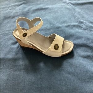 Softwalk comfy scandals